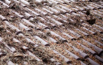 Kempes Corner roof cleaning companies